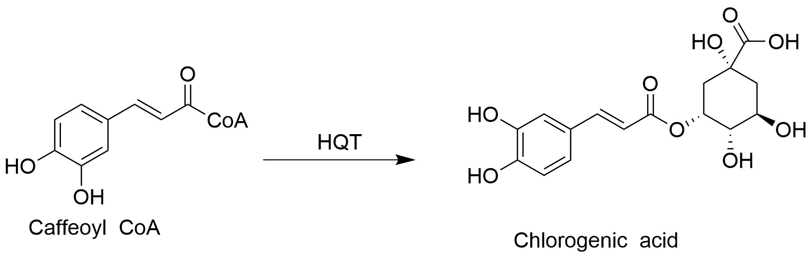 reaction