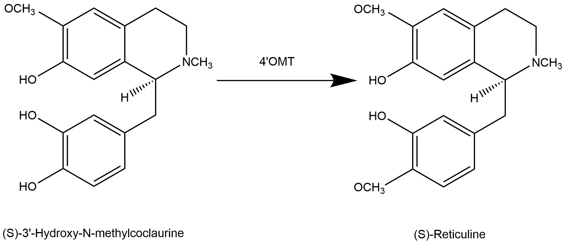 reaction