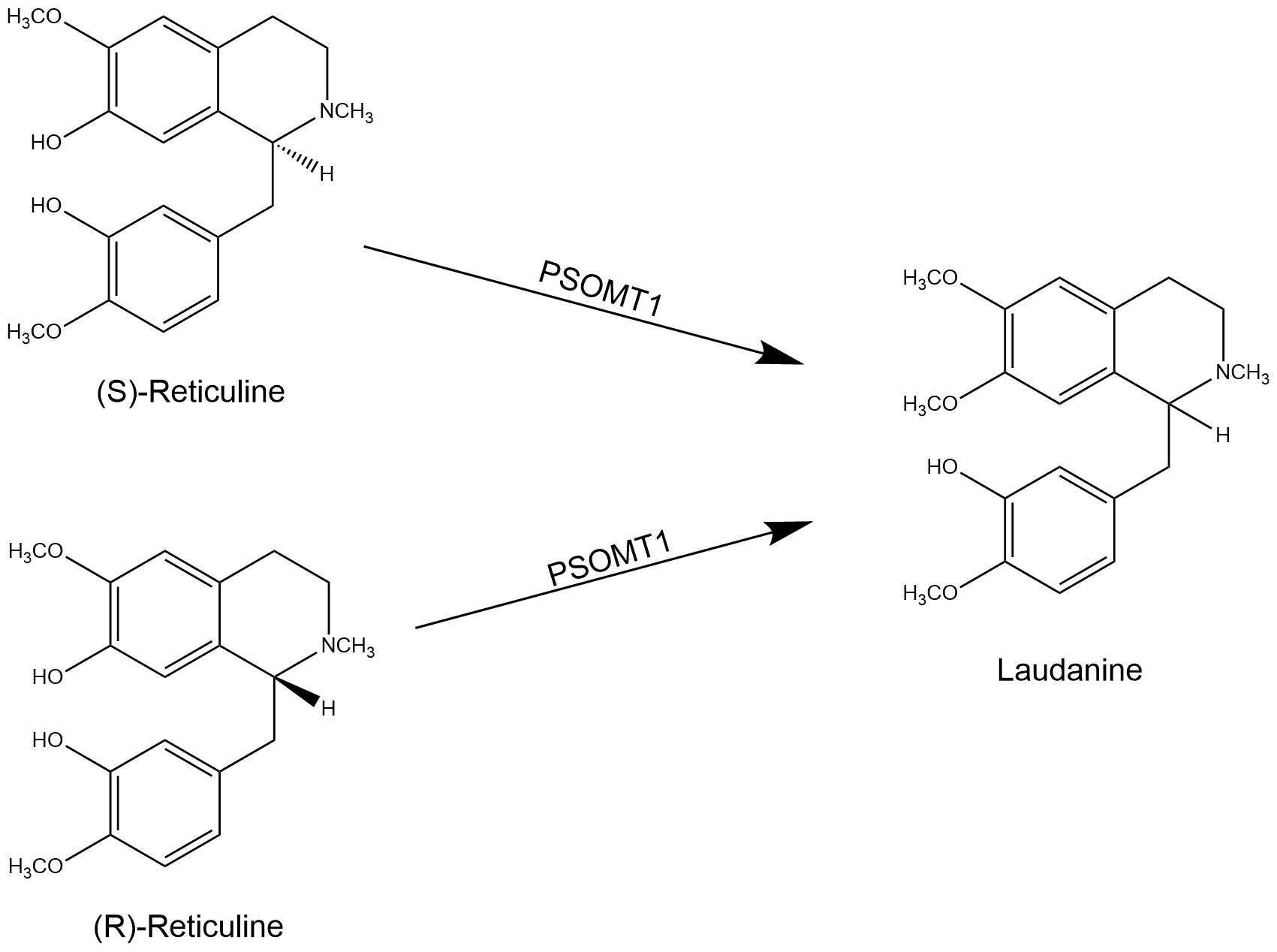 reaction