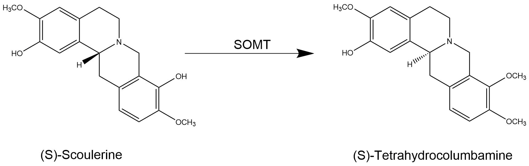 reaction