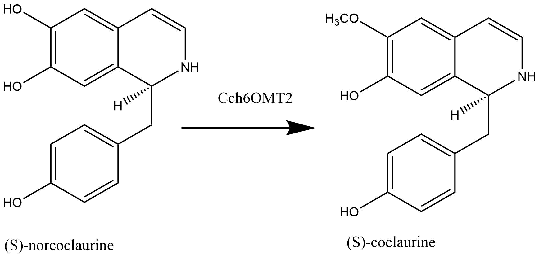 reaction