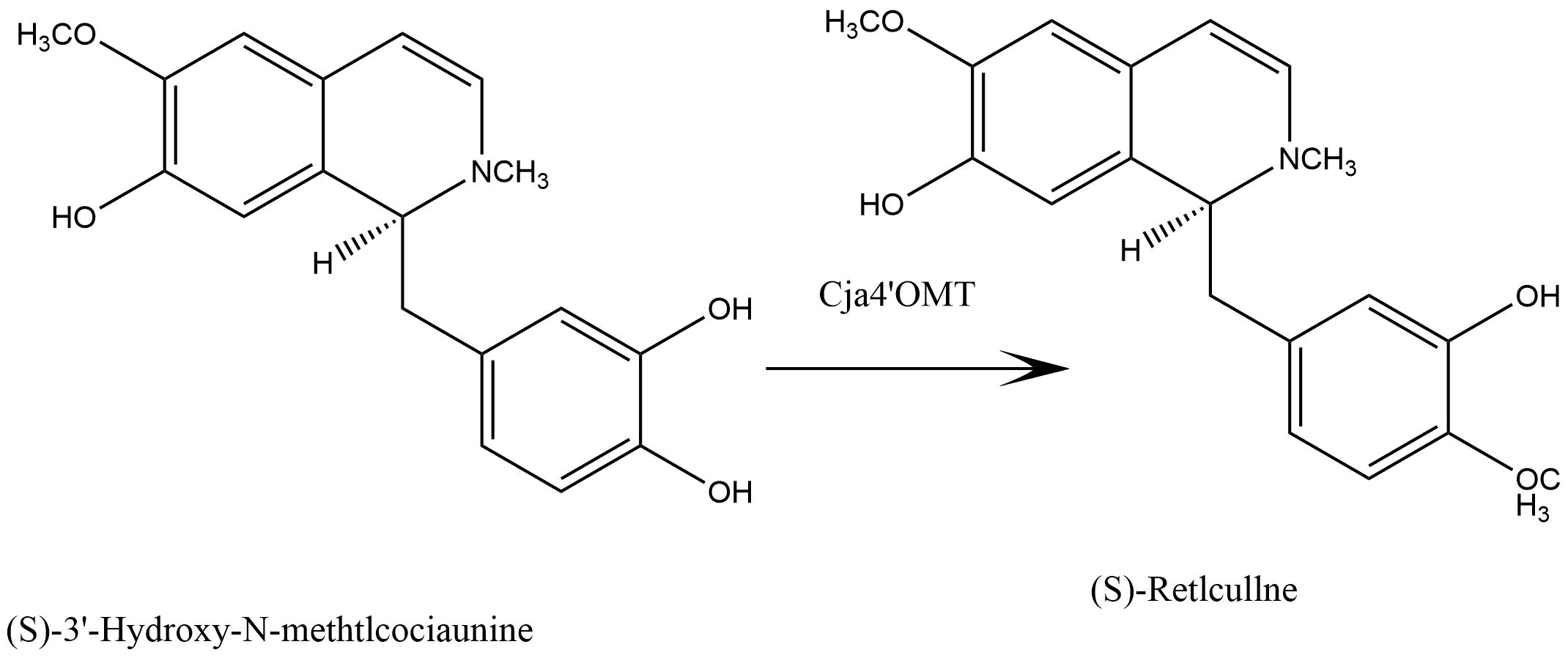 reaction