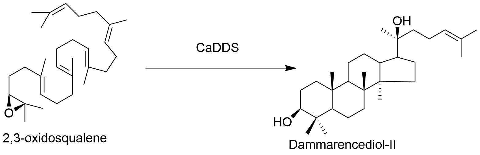 reaction