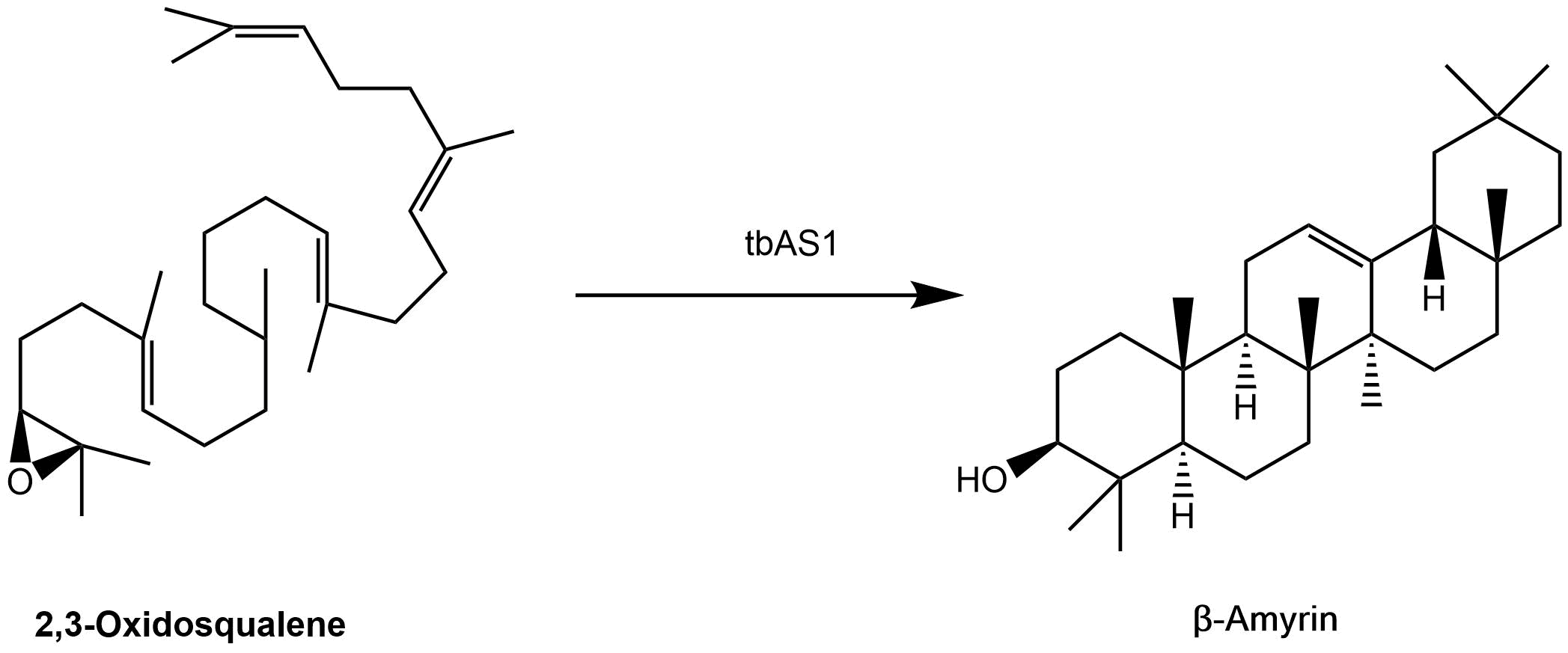 reaction