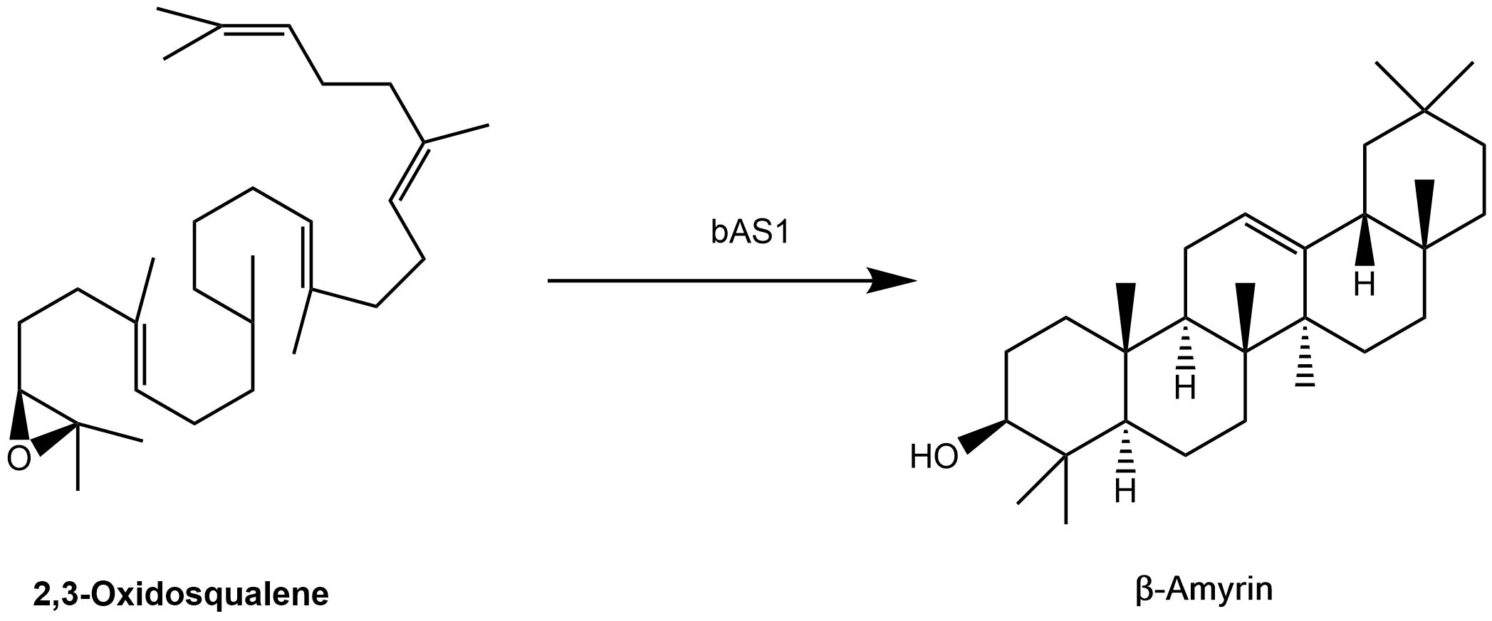 reaction