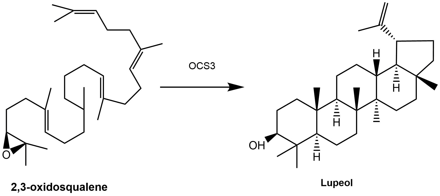 reaction