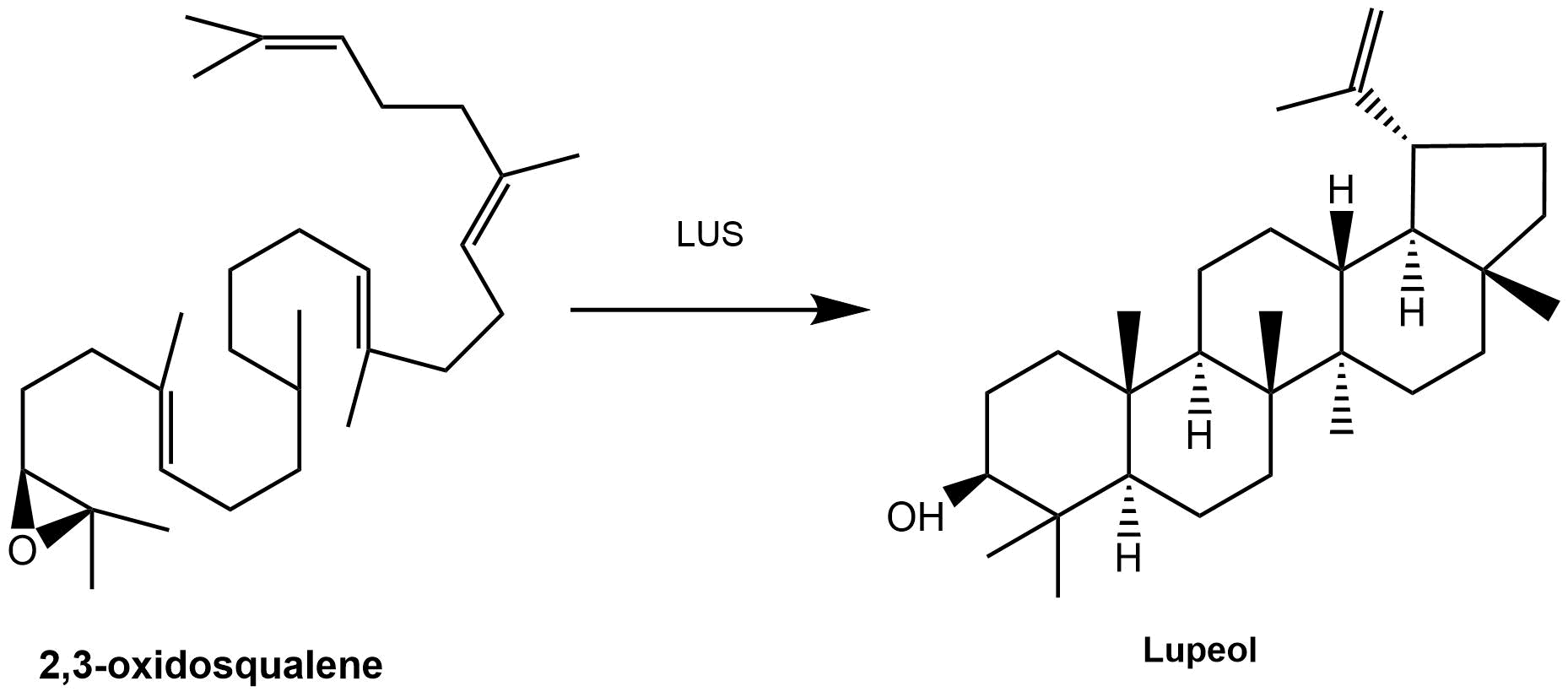 reaction