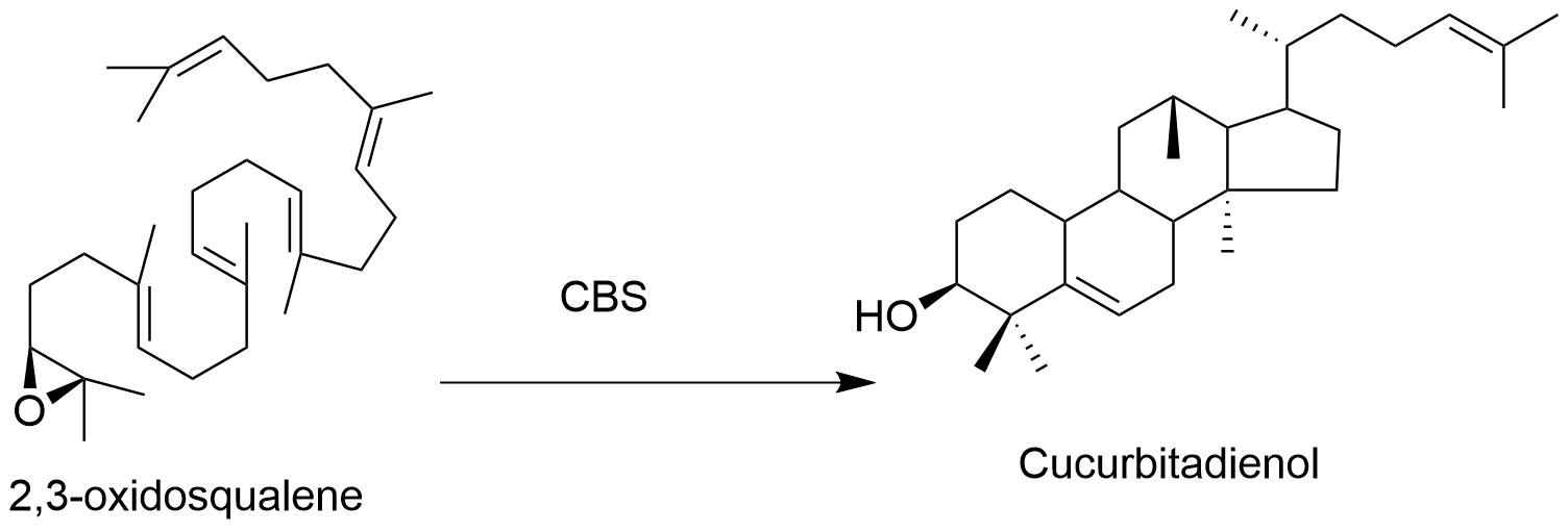 reaction