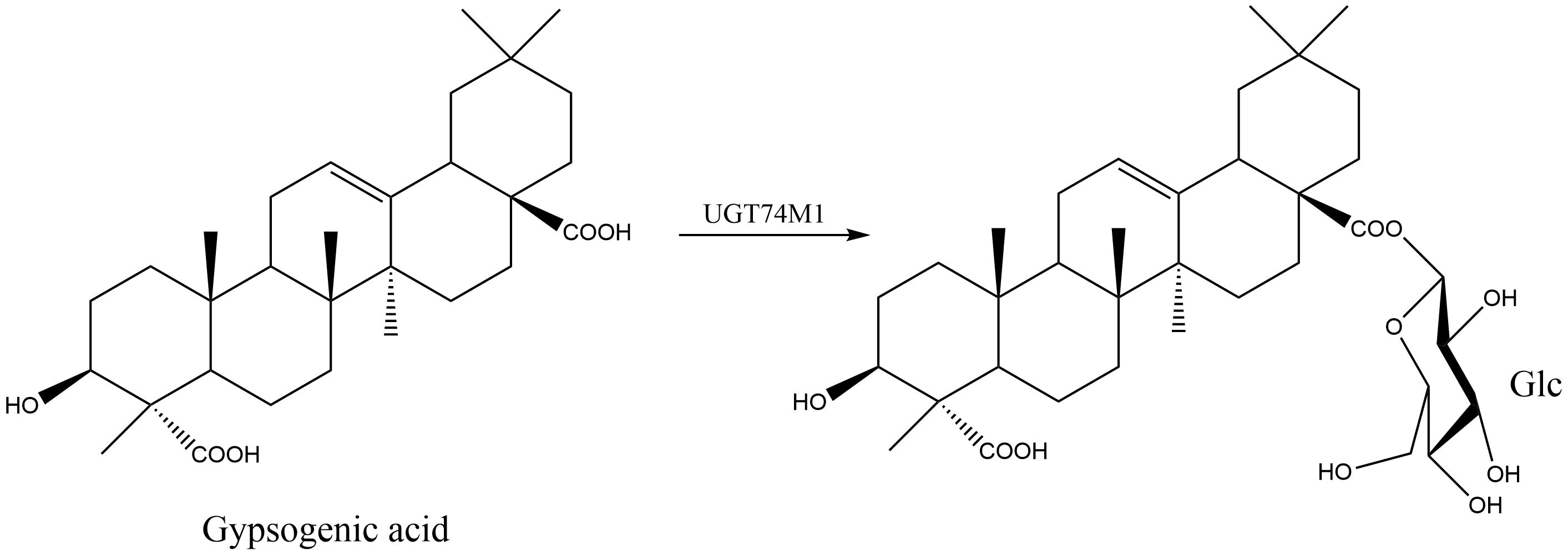 reaction