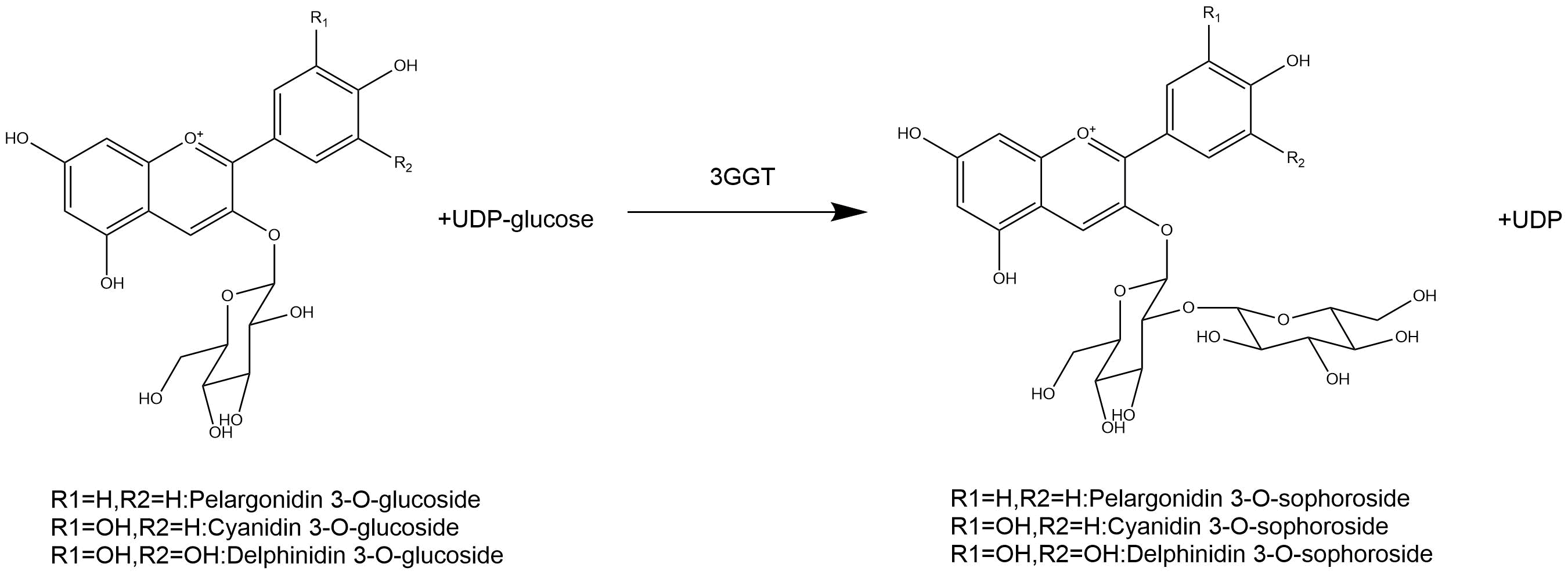 reaction